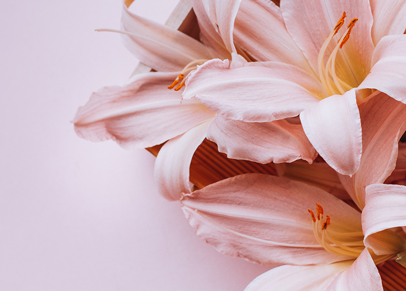 Ethiopia Guji Shakiso